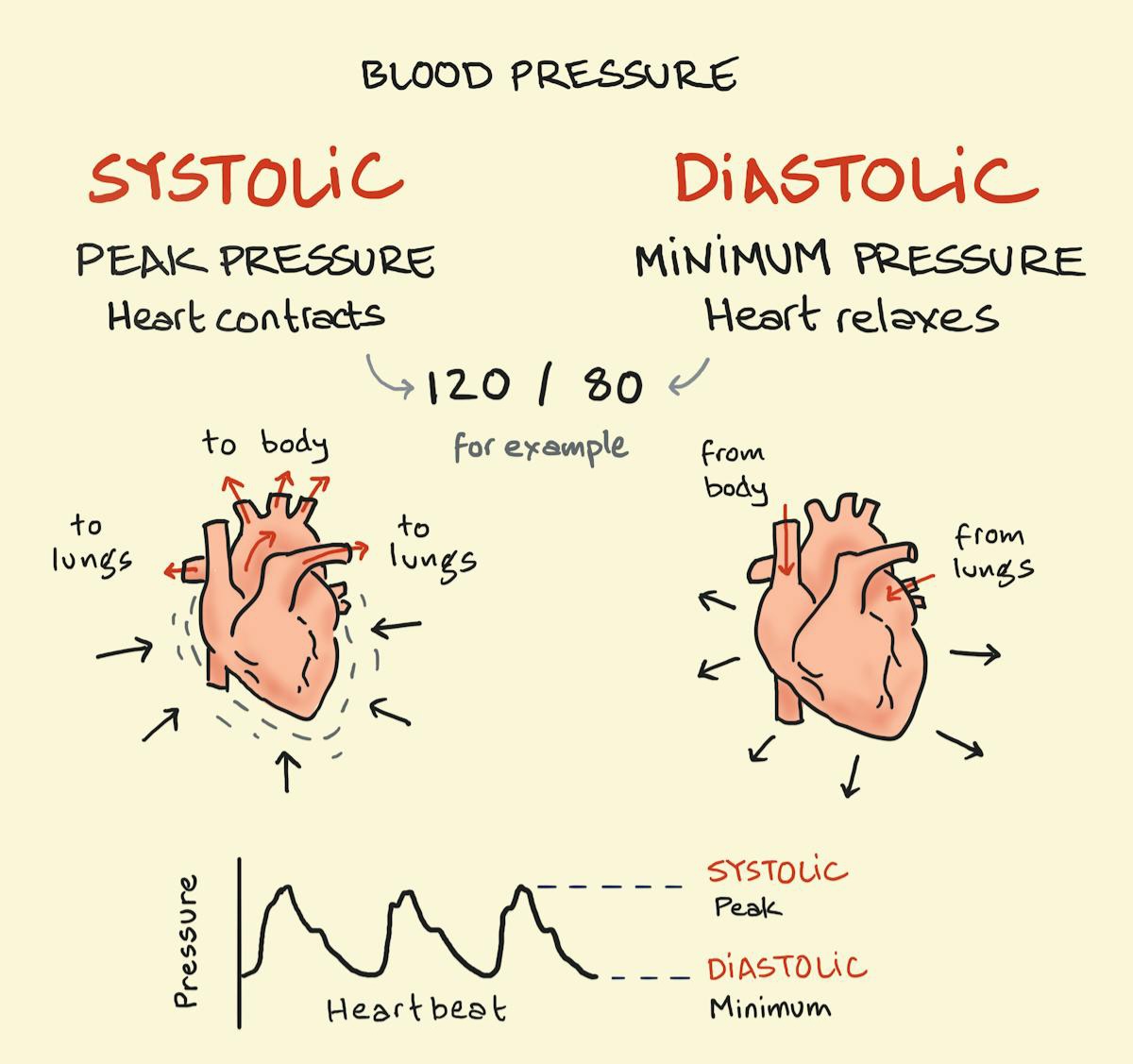 Systolic vs Diastolic BP ranges chart