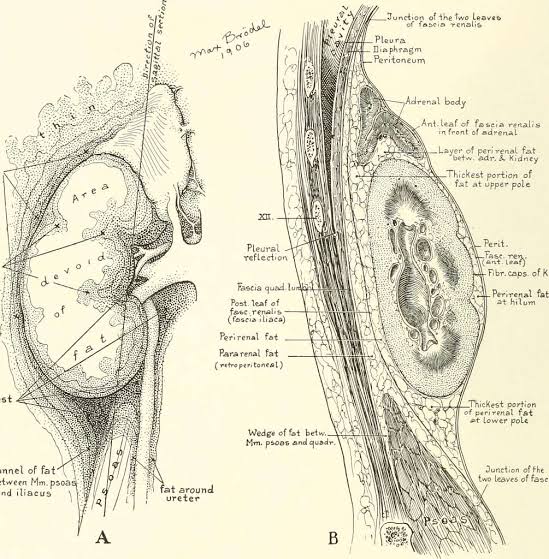 Hidden lifestyle factors causing BP spikes