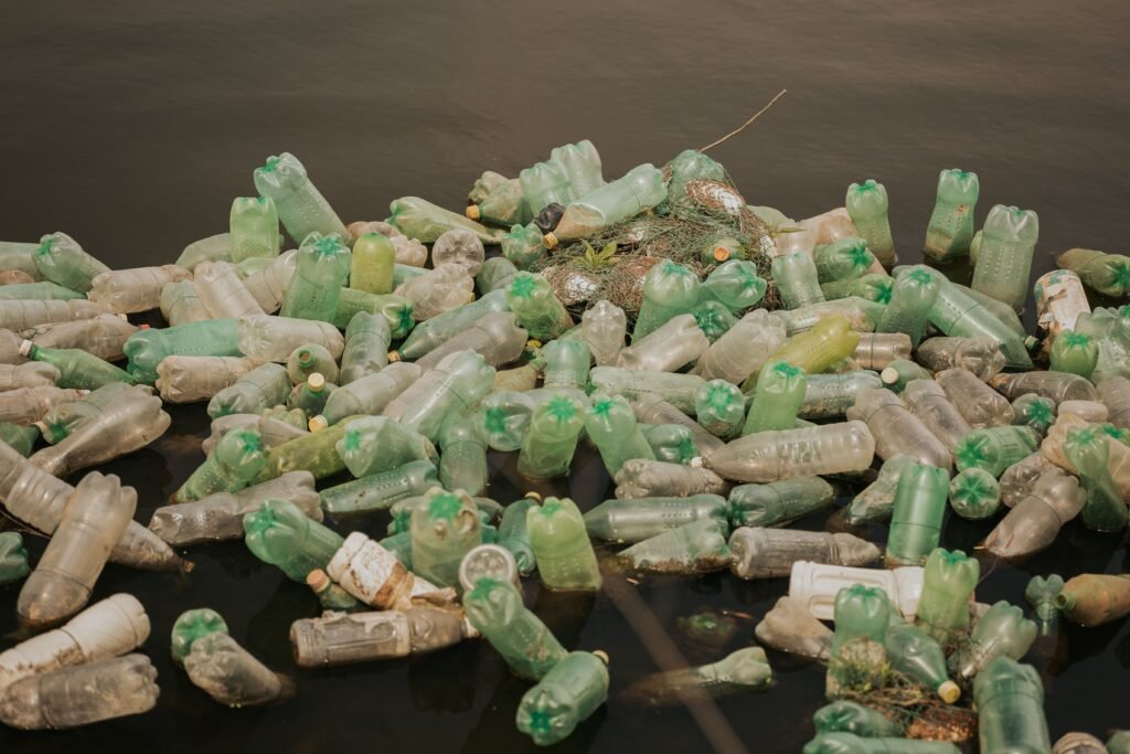 Microplastics in Blood