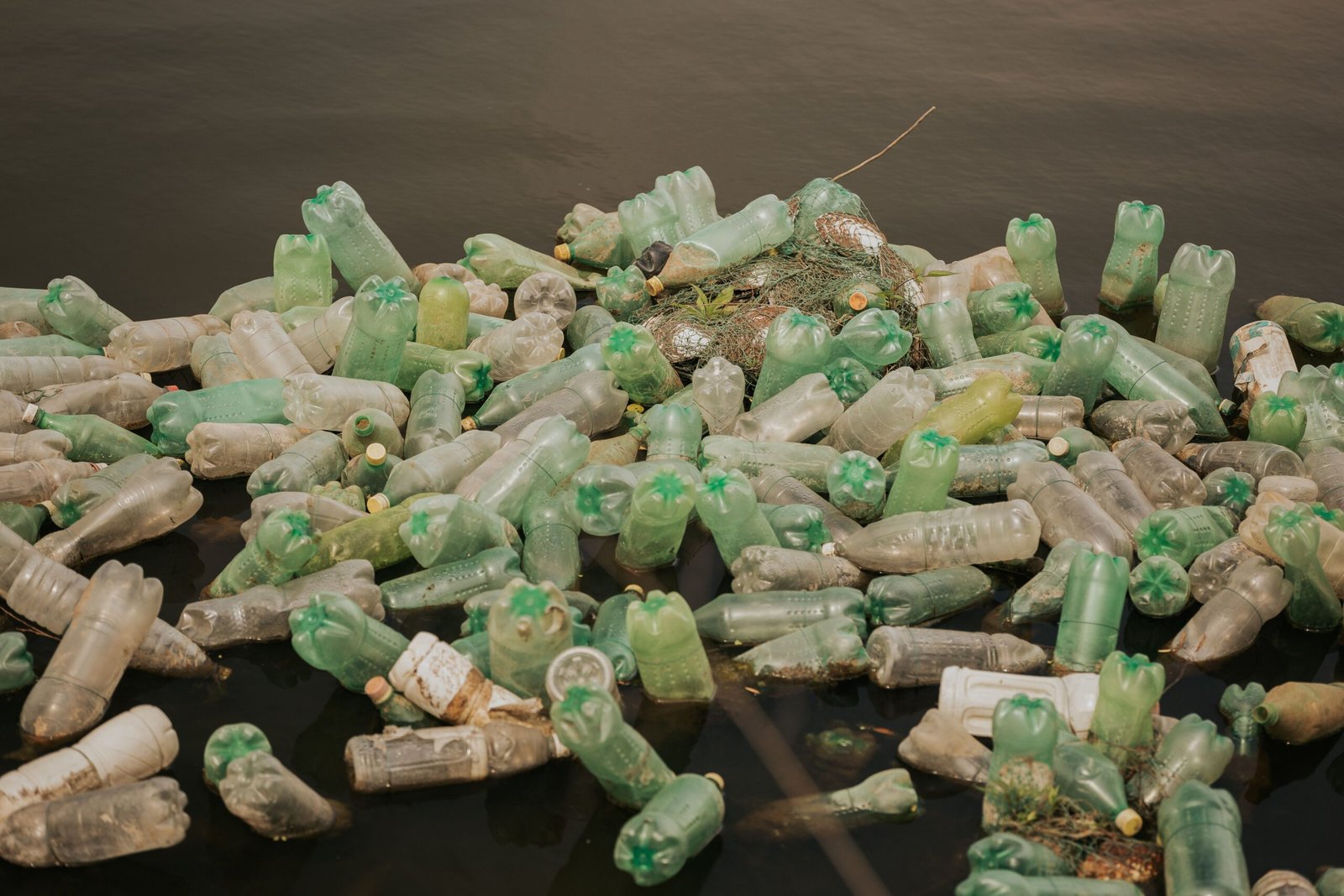 Microplastics in Blood - Featured image showing plastic contamination crisis and system bio-accumulation hazards