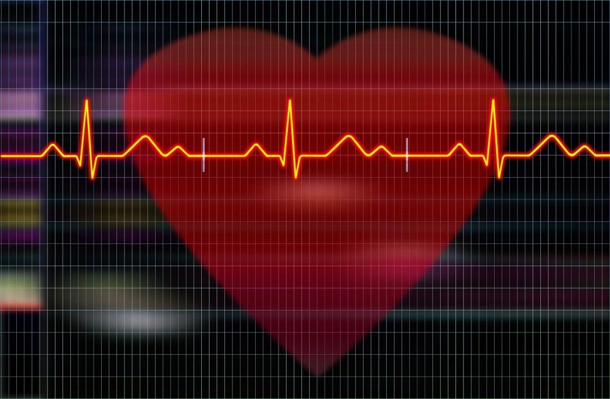 Hidden Causes of Heart Rate Fluctuation
