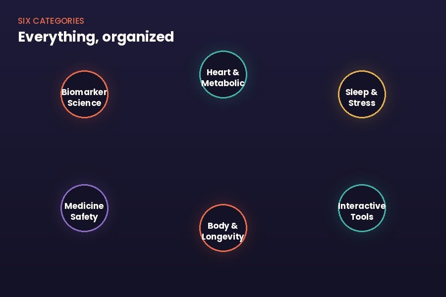 Six categories — everything organized