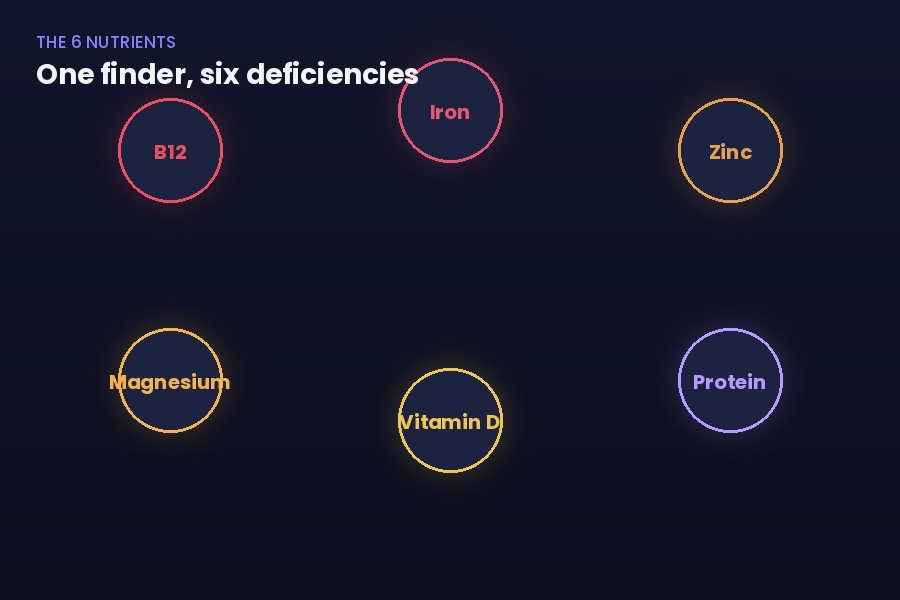 The six nutrients overview — B12, iron, zinc, magnesium, vitamin D, protein