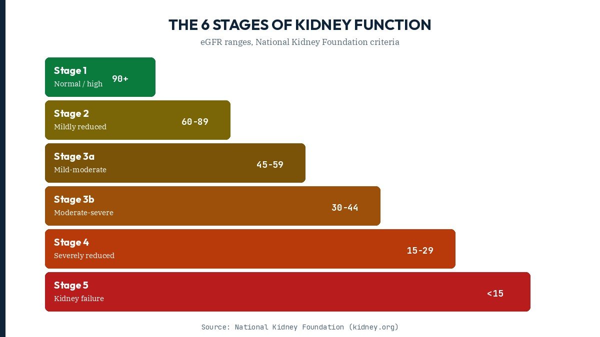 CKD stages eGFR visual chart kidney function stages 1 through 5