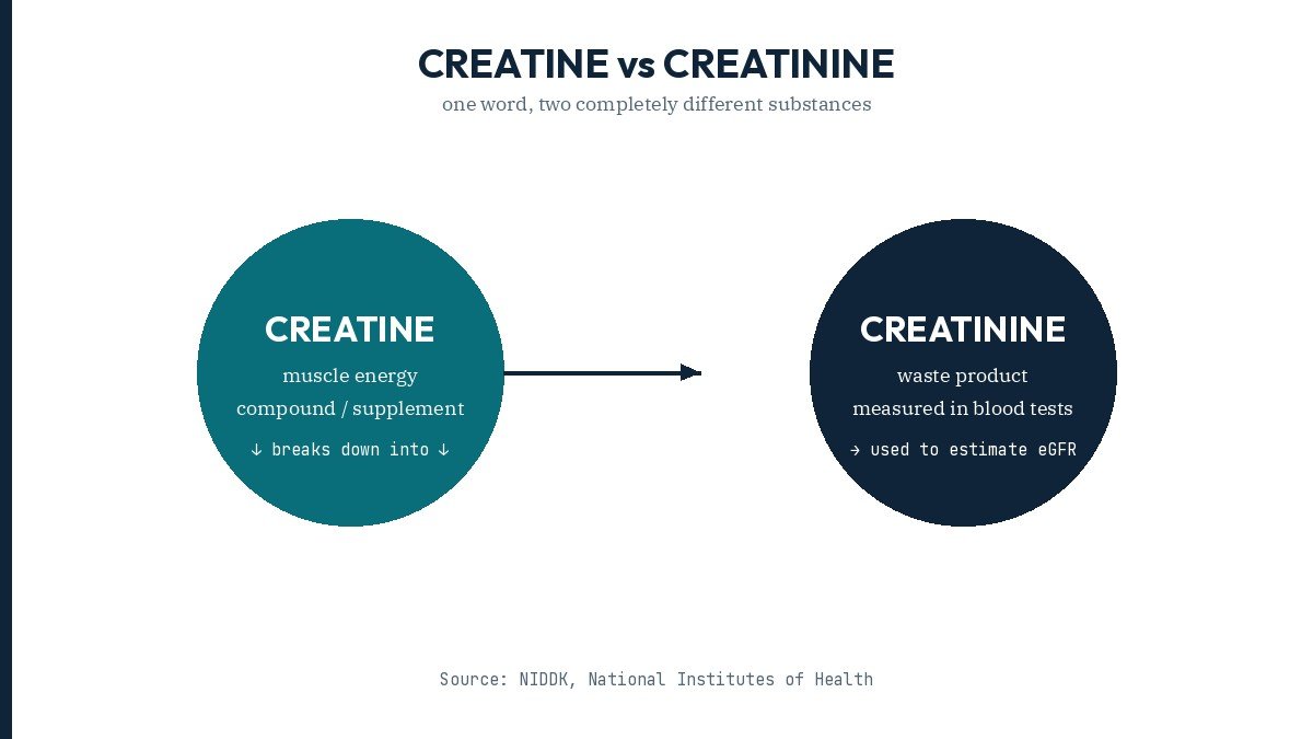 Creatine vs creatinine diagram showing the difference between the supplement and kidney marker