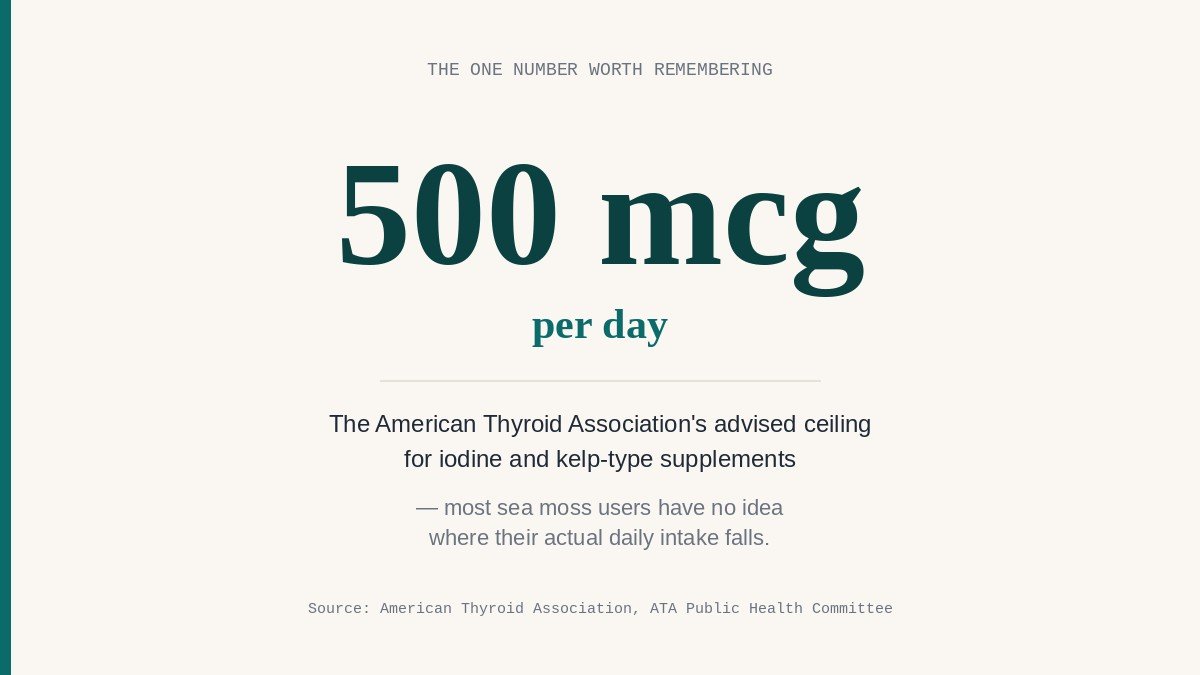 Sea moss and your medications safe dosing data chart showing iodine limits