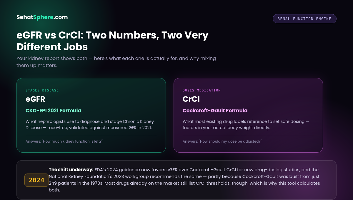 eGFR calculator from creatinine — eGFR versus CrCl, two different renal function numbers with two different clinical jobs