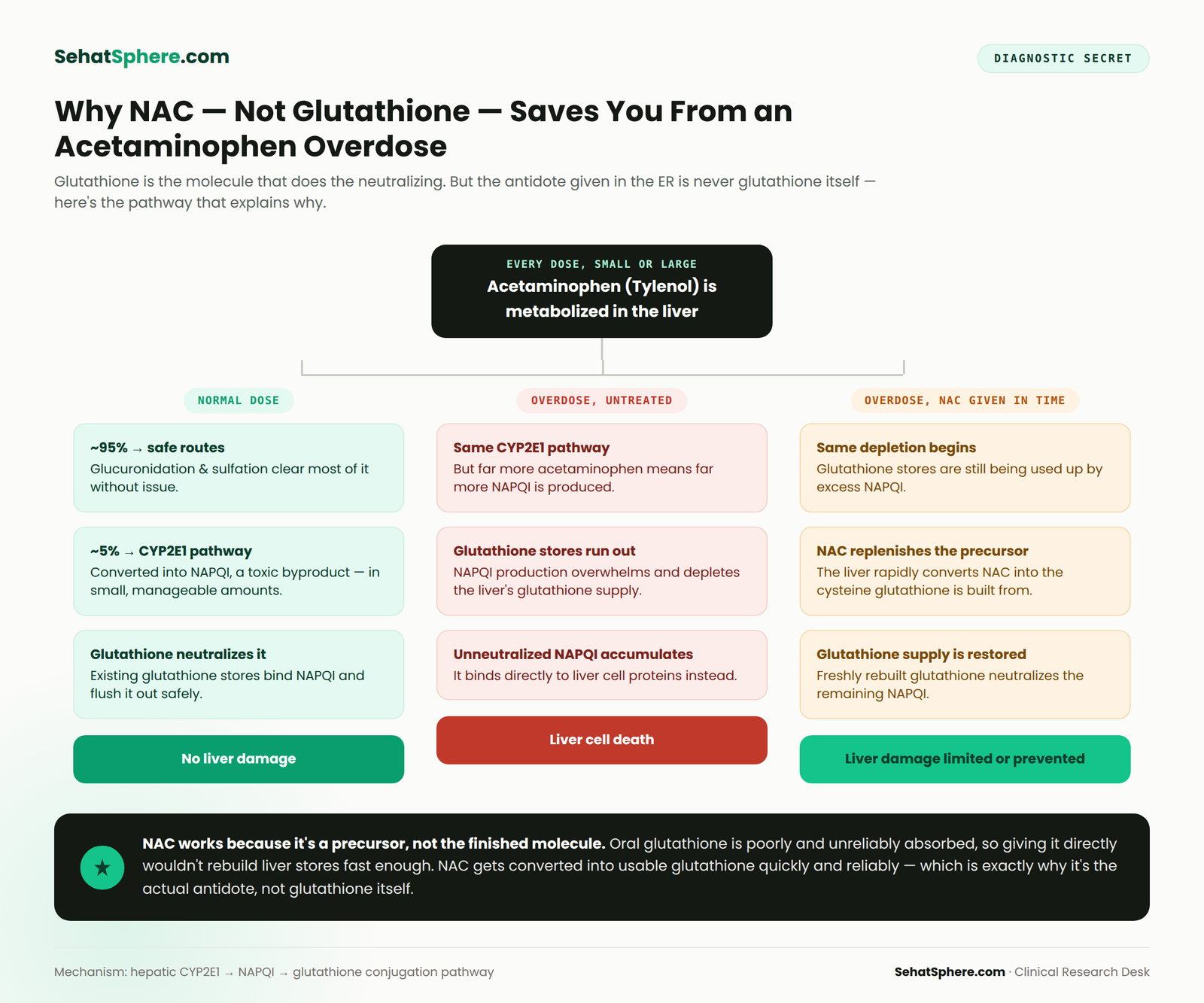 Glutathione and your medications NAPQI detox pathway diagram comparing normal acetaminophen dose, untreated overdose, and NAC rescue