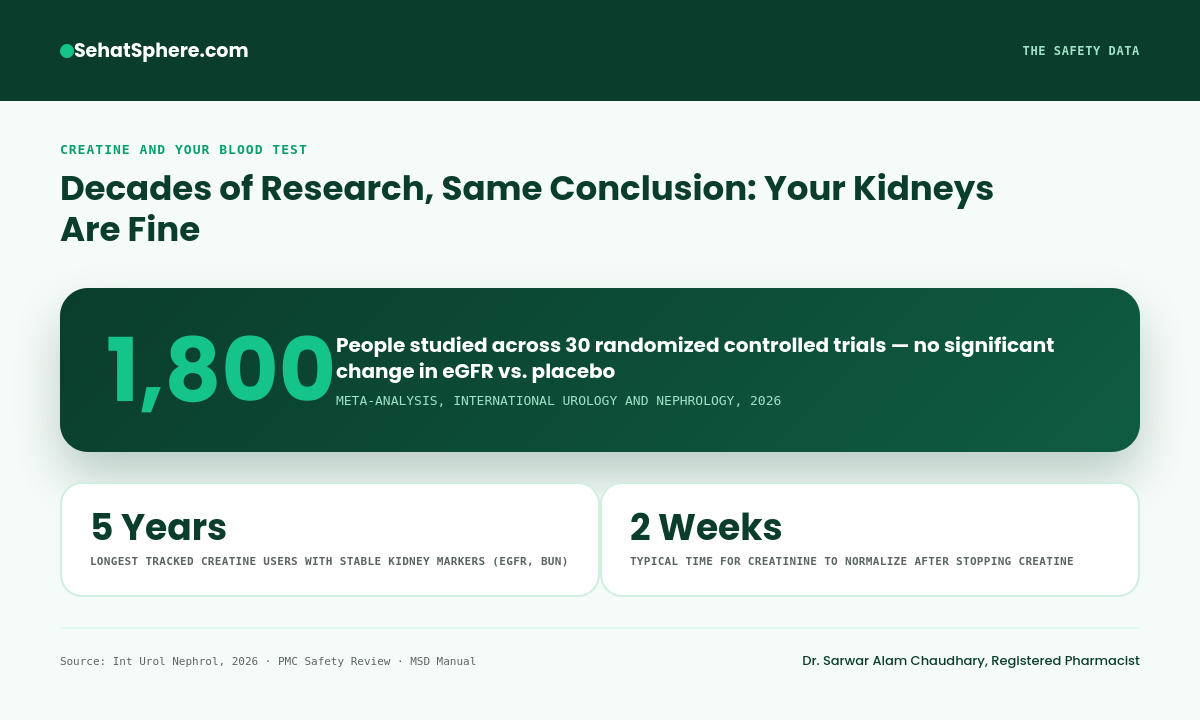 Creatine kidney safety data: 1800 people studied across 30 trials, 5 years of stable kidney markers, 2 weeks for creatinine to normalize after stopping