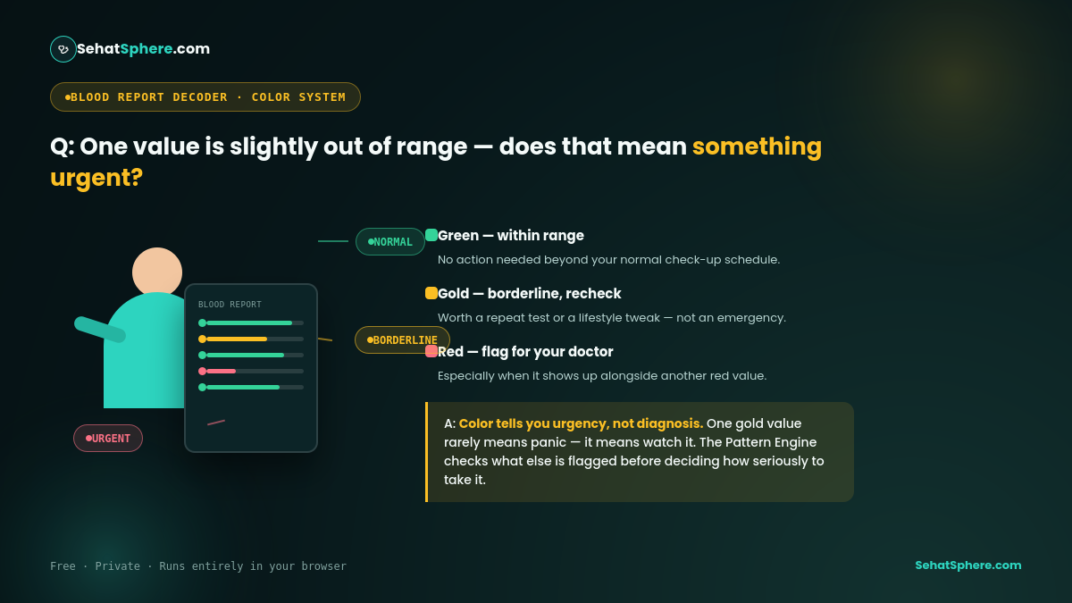 How to read blood test results — what green, gold, and red urgency levels mean on the Blood Report Decoder
