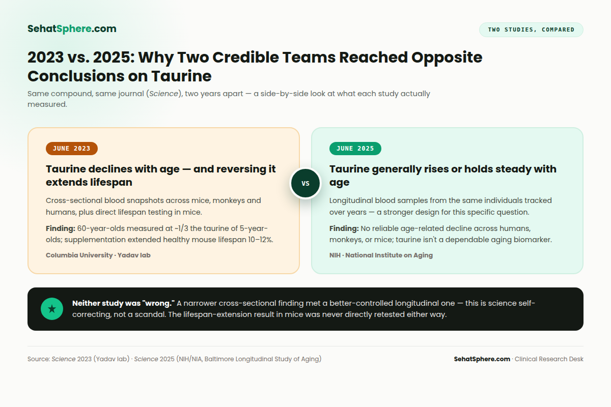 Taurine and your medications - 2023 vs 2025 study comparison infographic