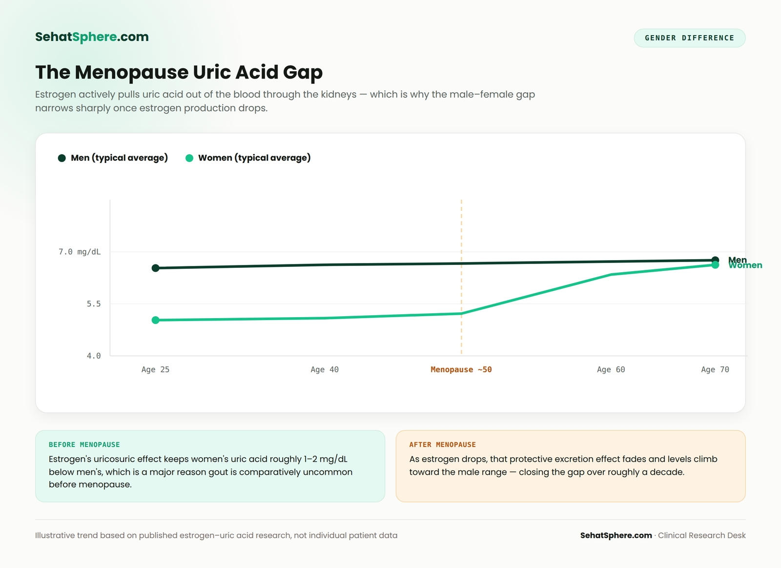 Chart showing men's uric acid staying roughly flat with age while women's uric acid rises sharply after menopause, closing the gender gap